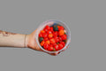 Gushers